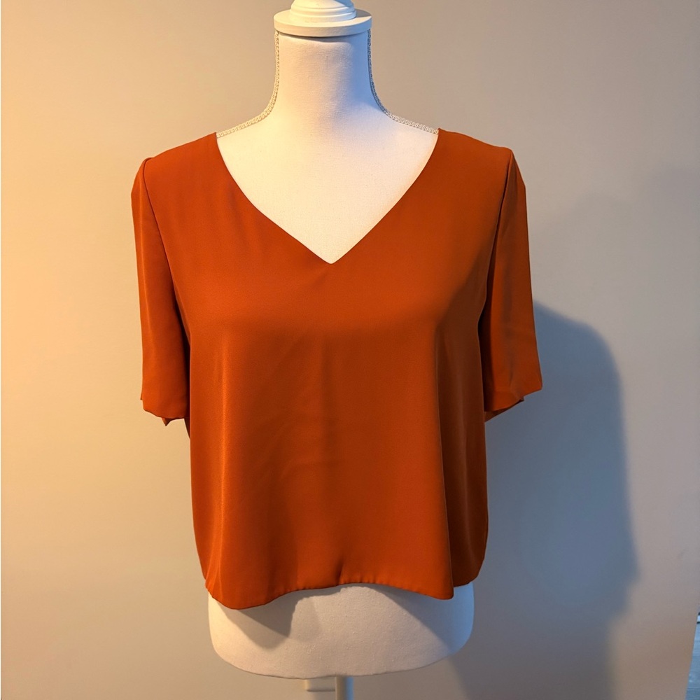 Babaton Rust V-Neck Blouse
